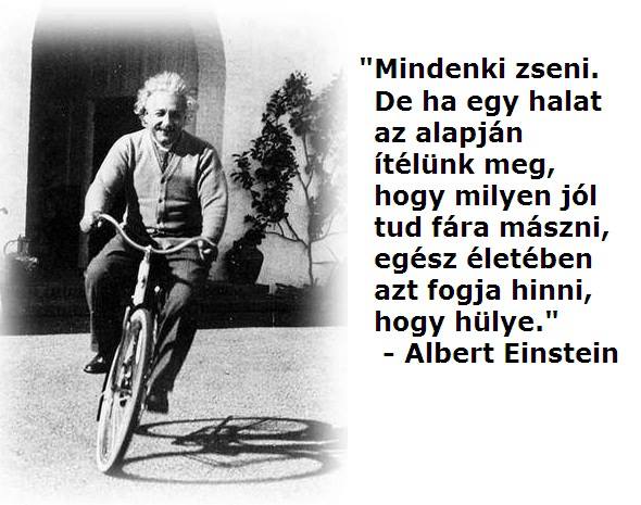 albert einstein motiváció idézet, motiváló idézetek