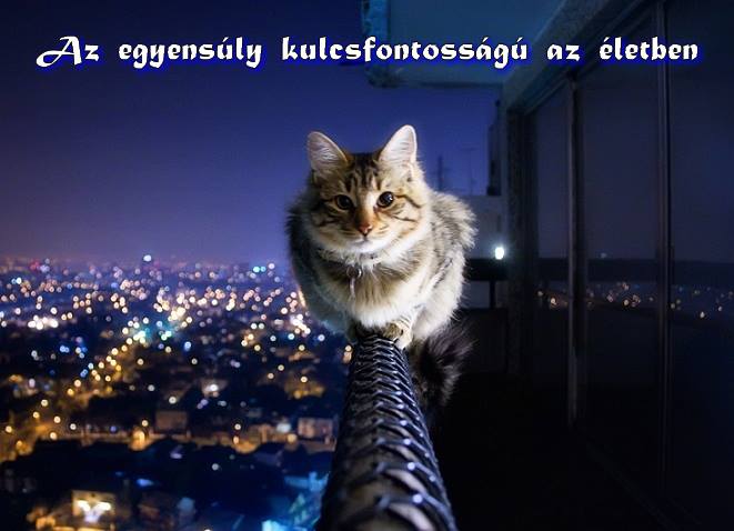 motiváció